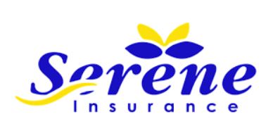 Client 3 Logo